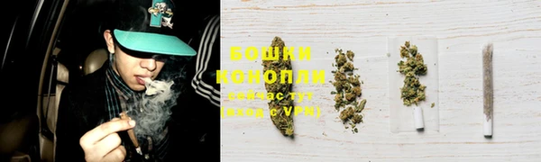 ПСИЛОЦИБИНОВЫЕ ГРИБЫ Заводоуковск