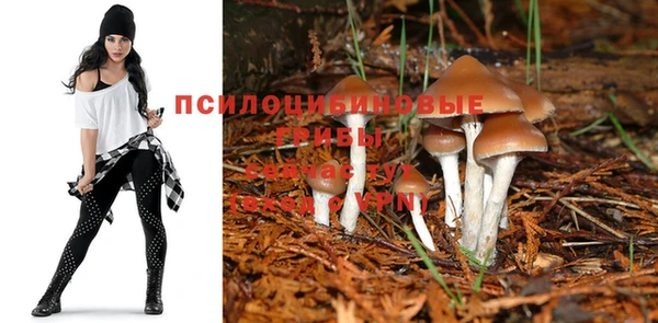 spice Заволжье