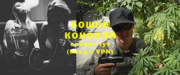 ПСИЛОЦИБИНОВЫЕ ГРИБЫ Заводоуковск