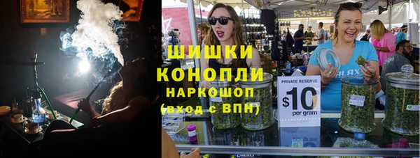 ПСИЛОЦИБИНОВЫЕ ГРИБЫ Заводоуковск