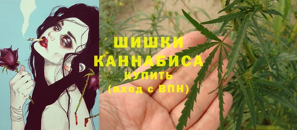 ПСИЛОЦИБИНОВЫЕ ГРИБЫ Заводоуковск