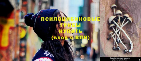 ПСИЛОЦИБИНОВЫЕ ГРИБЫ Заводоуковск