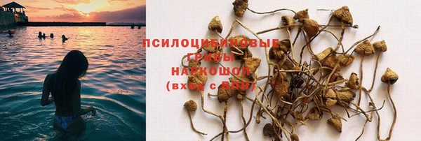 сатива Заволжск
