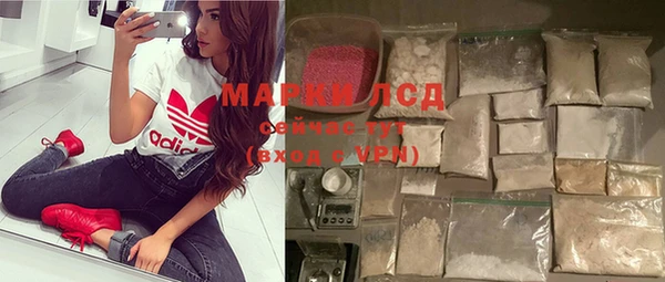 ПСИЛОЦИБИНОВЫЕ ГРИБЫ Заводоуковск