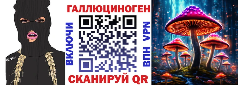 Галлюциногенные грибы прущие грибы  Купить  Циолковский 